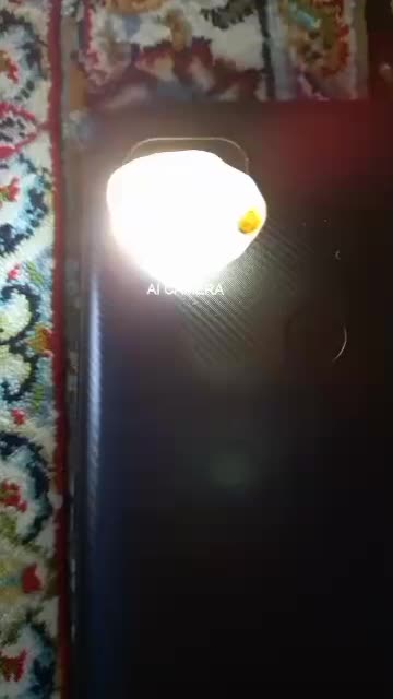 سنگ زیبا|کلکسیون اشیاء عتیقه|رشت, حومه رشت|دیوار