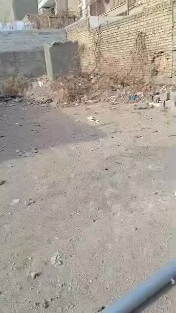 خانه ویلایی|اجارهٔ خانه و ویلا|بومهن, |دیوار