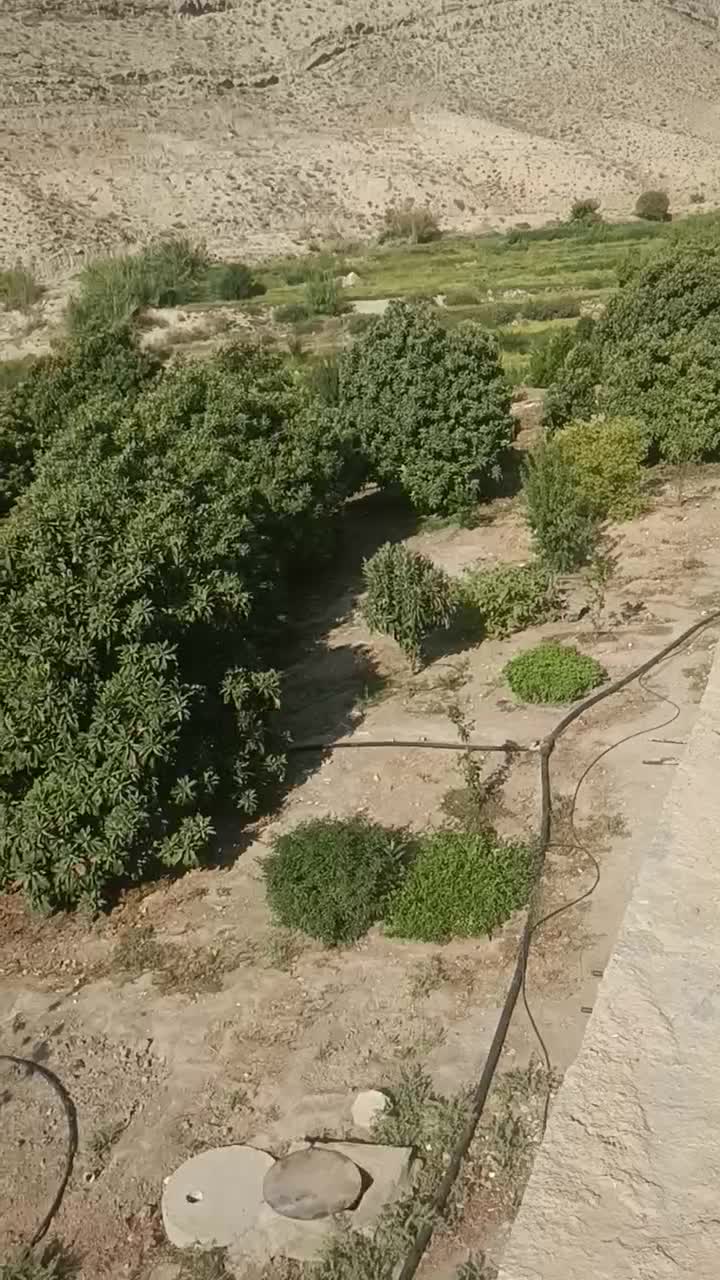 دو هکتار زمین تجاری و باغی|فروش زمین و ملک کلنگی|راهگان, |دیوار