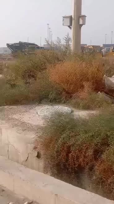 واردات و فروش انواع بیل مکانیکی|خودرو سنگین|تهران, گمرک|دیوار