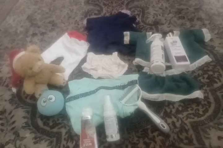 لوازم و پوشاک و اسباب بازی سگ|لوازم جانبی حیوانات|شاهینشهر, گرگاب|دیوار