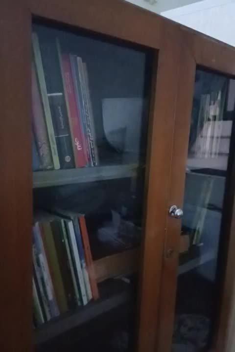 کمد کتابخانه|کتابخانه، شلف، قفسههای دیواری|زاهدان, |دیوار