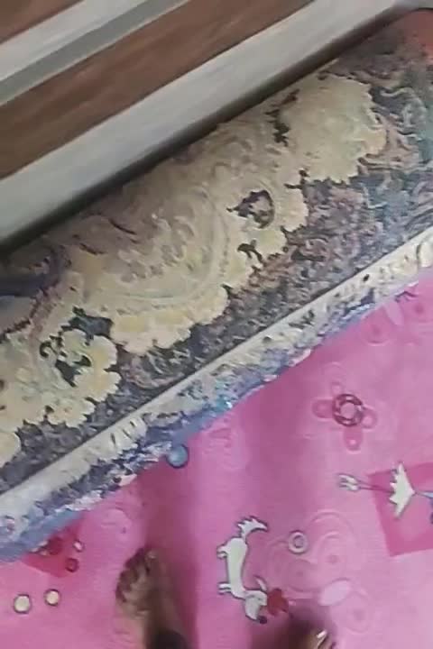 فرش 9متری رنگ  سرمه ای آگهی بخونید بعد تماس بگیرید|فرش|پاکدشت, پاکدشت (مامازند)|دیوار