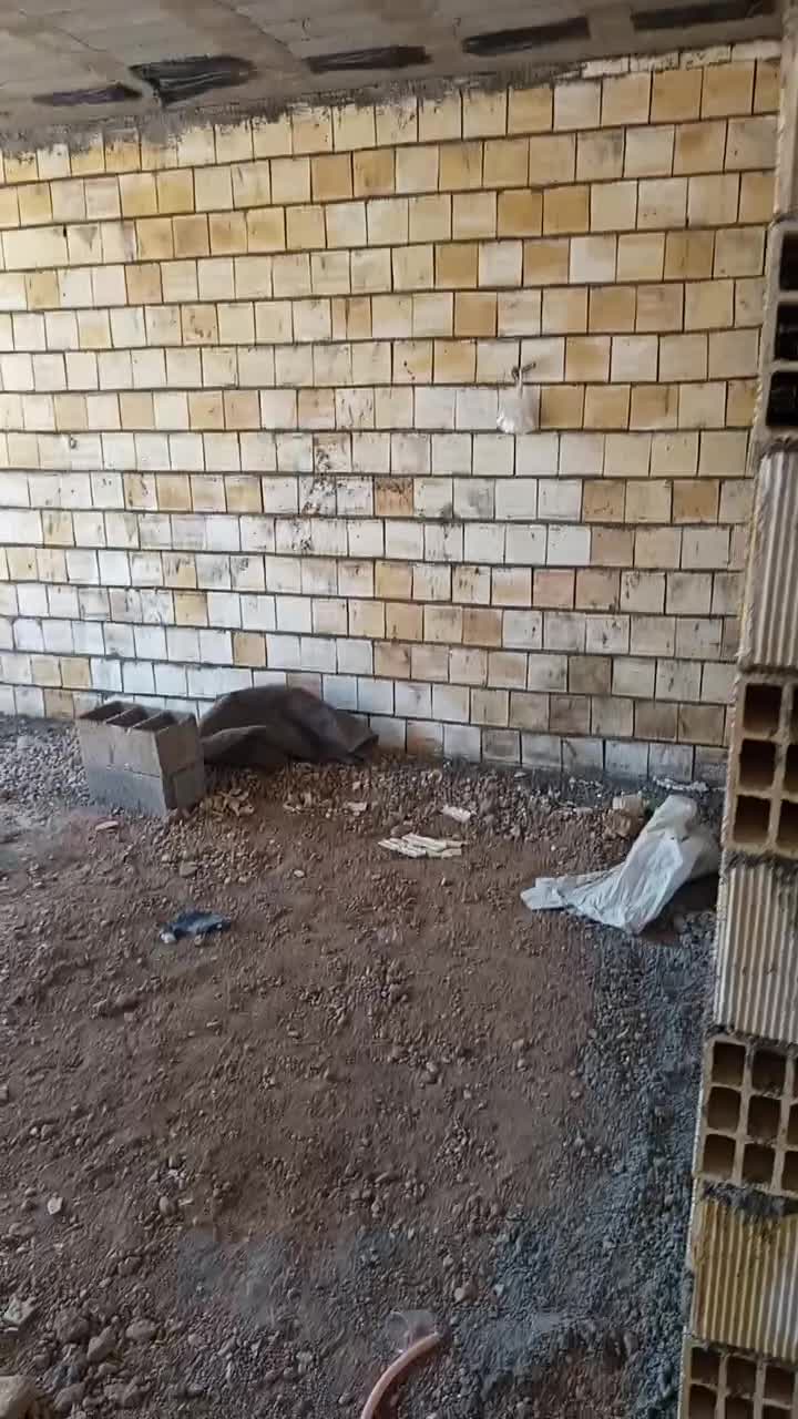 مسکونی ویلایی مجلسی|فروش خانه و ویلا|مبارکه, |دیوار