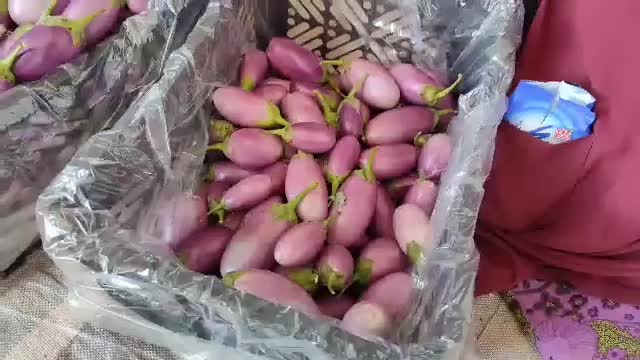 نیازمند نیروی زن برای کار بسته بندی|استخدام صنعتی، فنی، مهندسی|شیراز, سلطان آباد|دیوار
