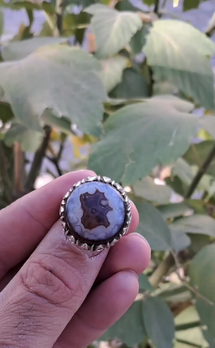 سه پوست   مصور   مراکش|بدلیجات|اهواز, دانشگاه چمران|دیوار