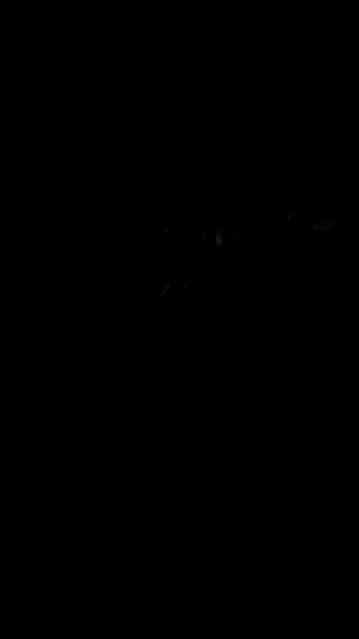 خرگوش|موش و خرگوش|بندر امام خمینی, |دیوار