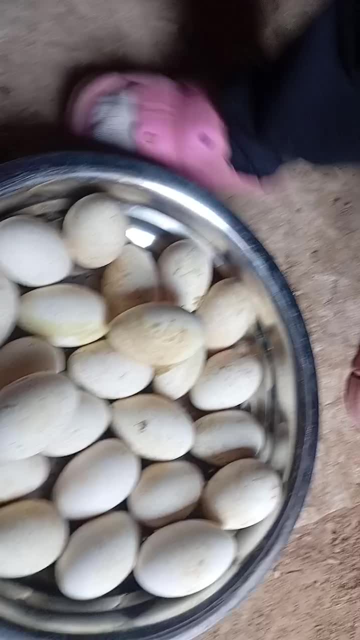 تخم غاز|خوردنی و آشامیدنی|بکتاش, |دیوار