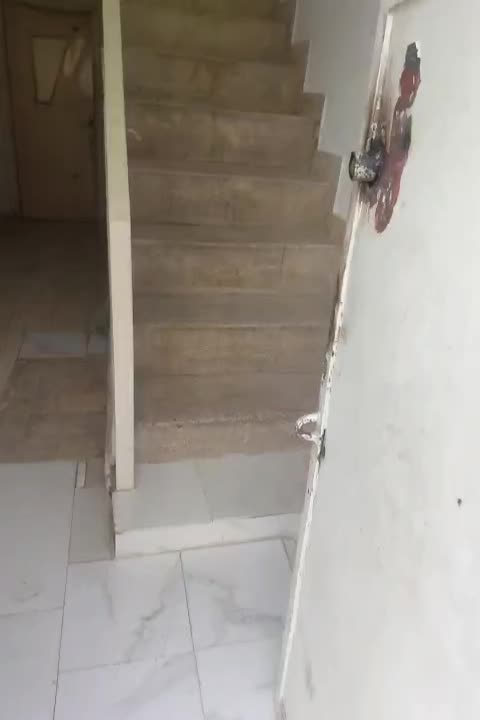 اجاره آپارتمان 90 متری دو خوابه طرقبه امام خمینی12|اجارهٔ آپارتمان|طرقبه, |دیوار