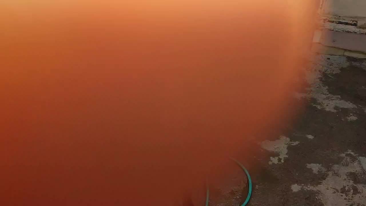 چهار تامیش ابستن|حیوانات مزرعه|بیرانوند, |دیوار