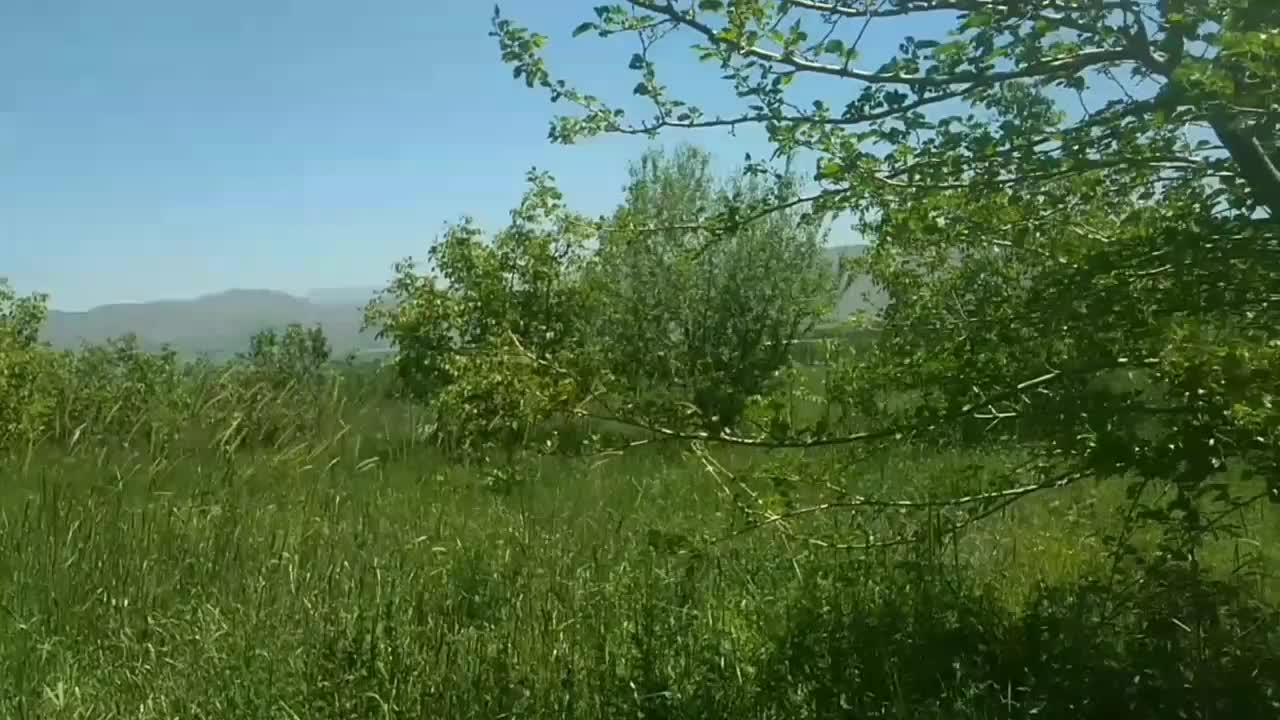 یک قطعه باغ 15 ساله روستای قلات رش|فروش خانه و ویلا|پیرانشهر, |دیوار