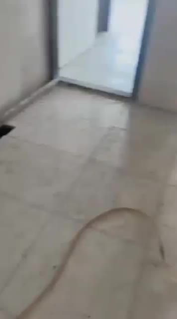 مسکن ملی پردیس غرب مهر ارا (فروش فوری)|فروش آپارتمان|زنجان, |دیوار