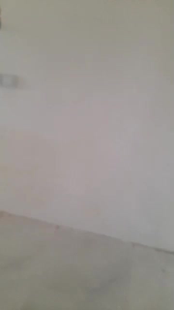 رهن کامل یک واحدآپارتمان صفرکلیدنخورده|اجارهٔ آپارتمان|شیراز, کوشک میدان|دیوار