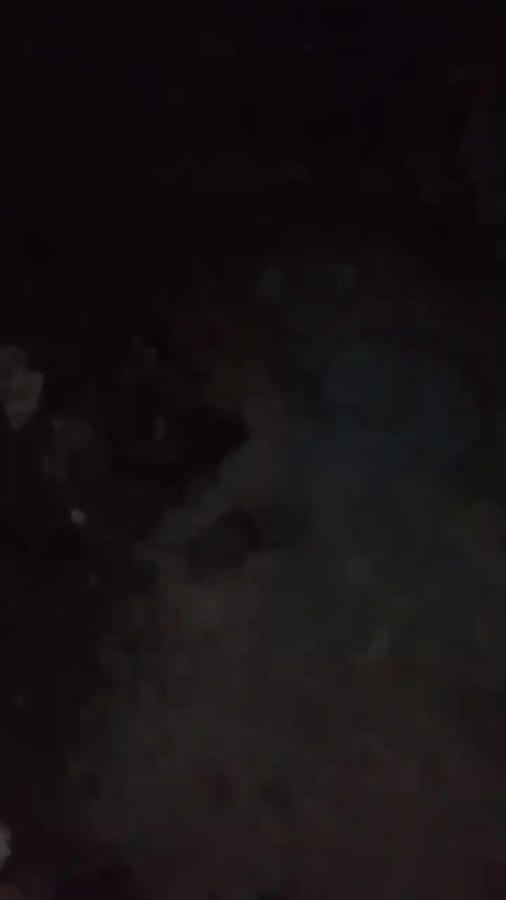 توله سگ ماده|سگ|کرمانشاه, |دیوار