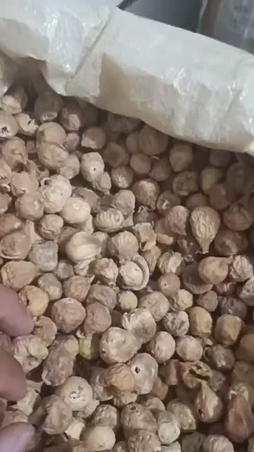 انجیر|خوردنی و آشامیدنی|فسا, |دیوار