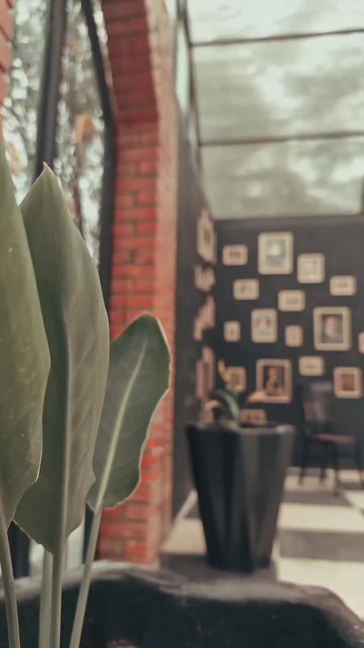 باغ عکاسی|خدمات پذیرایی، مراسم|رشت, شکار اسطلخ|دیوار