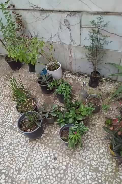 سوله کارخانه|فروش دفتر صنعتی، کشاورزی، تجاری|ضیابر, |دیوار