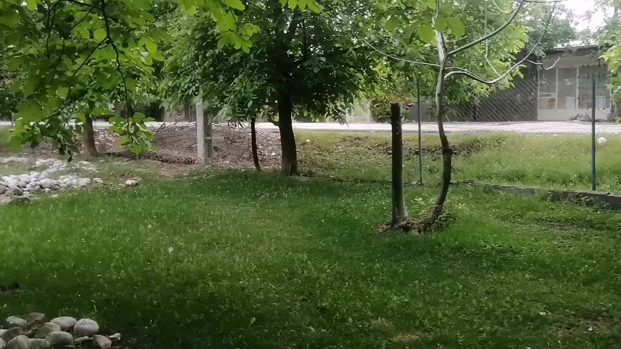 باغ ویلا کهمان الشتر|اجارهٔ کوتاه‌مدت ویلا و باغ|الشتر, |دیوار