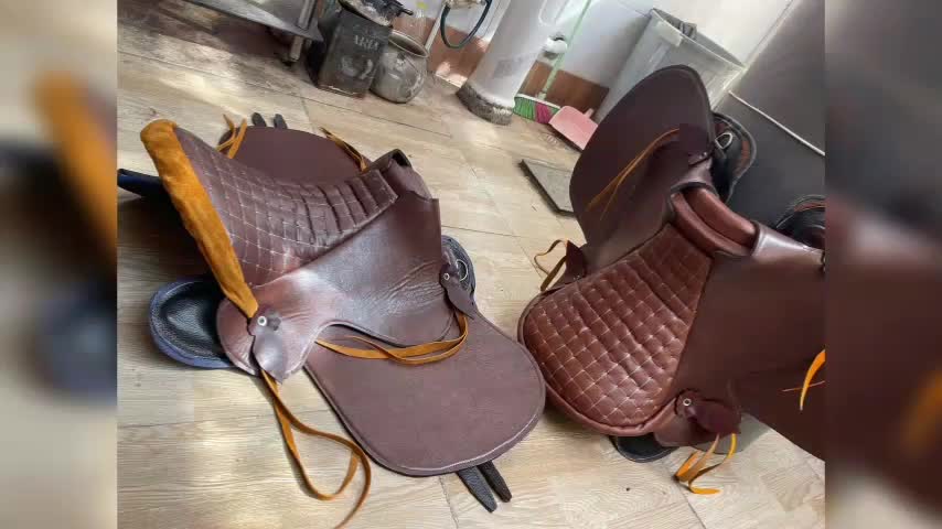 زین اسب ( از تولید به مصرف )|اسب و تجهیزات اسبسواری|تبریز, |دیوار