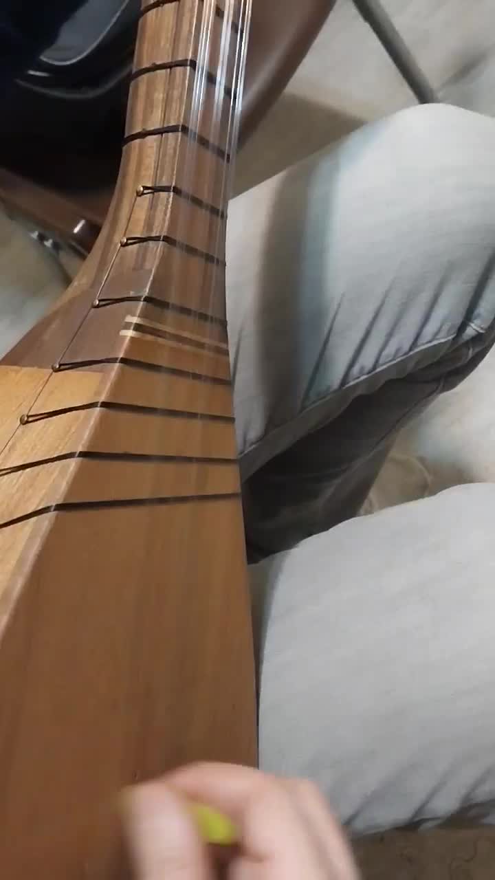 قوپوز ساز استادپاشازاده|سازهای سنتی|تبریز, |دیوار