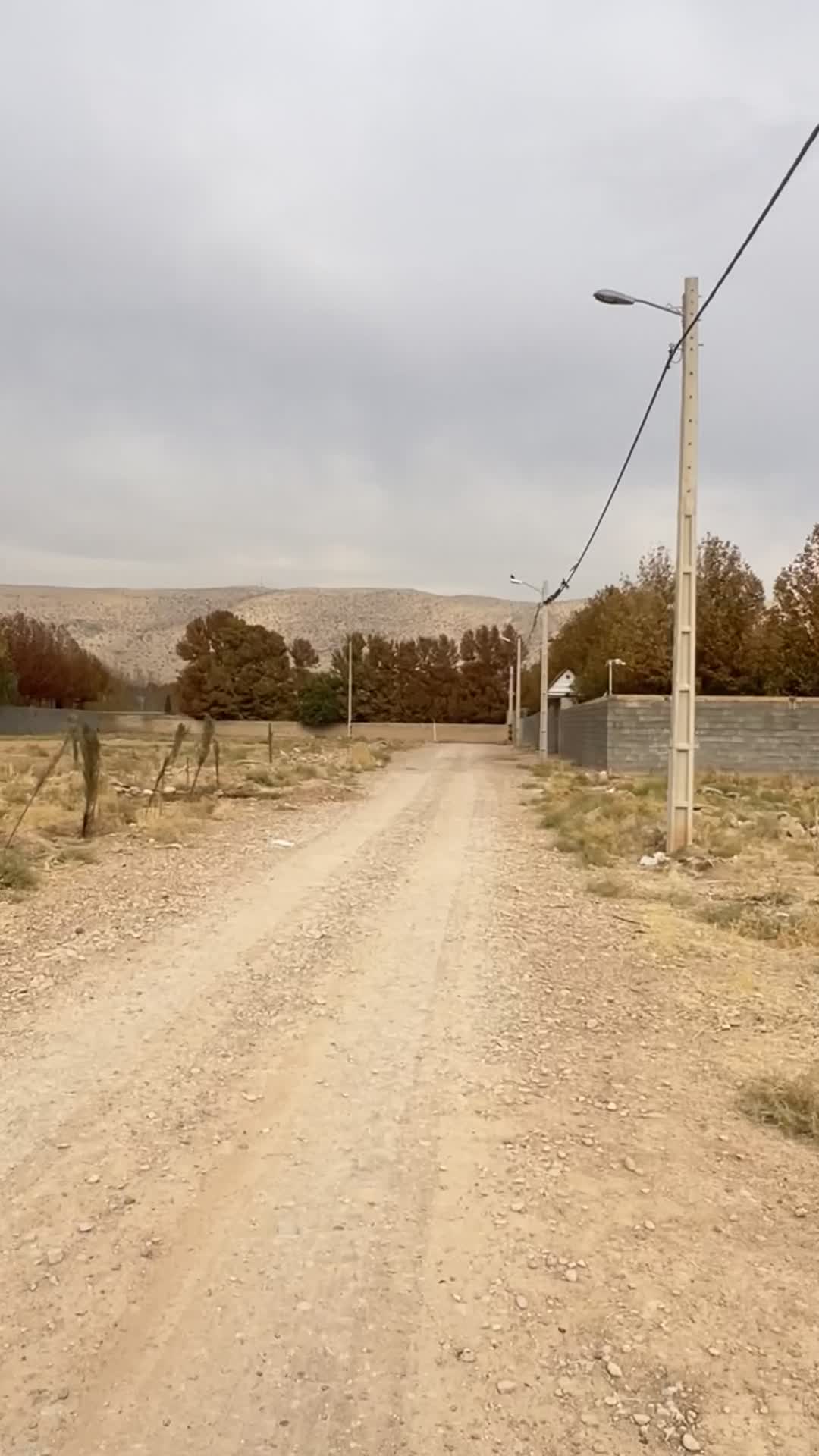 زمین باغ شهری ۵۰۰ متری باغ شهری صدرا|فروش زمین و ملک کلنگی|شیراز, باغشهر قصر سبز|دیوار