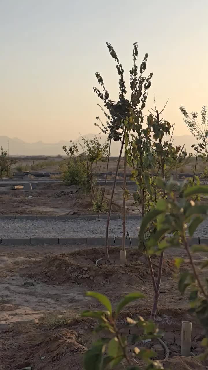 سرمایه گذاری اقساطی در شاهین شهر|فروش زمین و ملک کلنگی|شاهین‌شهر, شهرک میلاد|دیوار