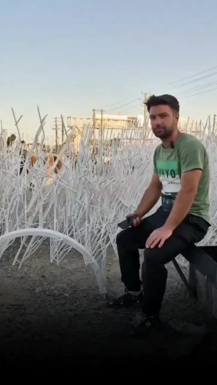 مدل شوکا ، حفاظ شاخ گوزنی تراکم ۵۰ ارتفاع ۱۲۰|مصالح و تجهیزات ساختمان|فیروزکوه, |دیوار