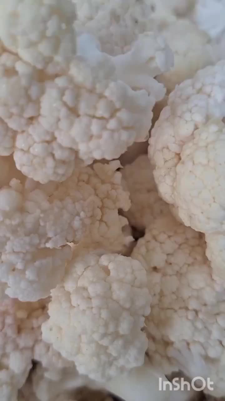 ترشی مخلوط و آبلیمو تازه|خوردنی و آشامیدنی|قرچک, میرزائی جنوبی|دیوار