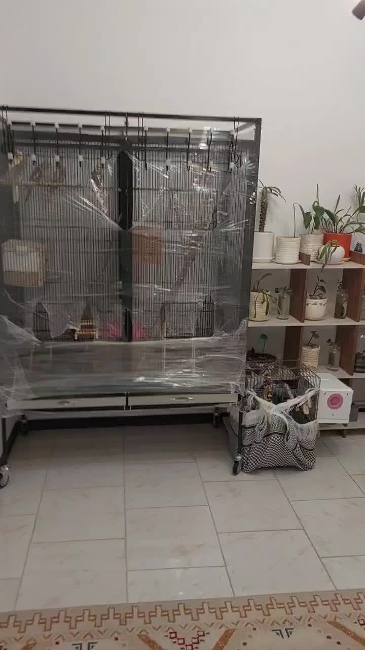 قبول واگذاری|پرنده|تهران, دردشت|دیوار