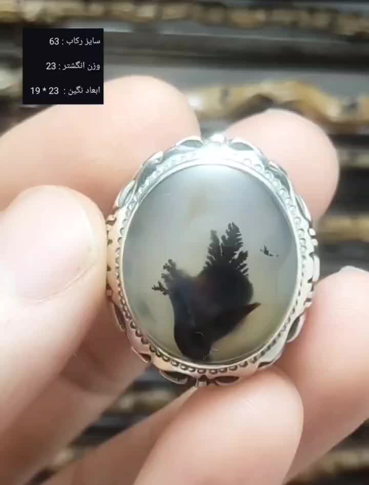 تعدادی انگشتر شجر با قیمت مناسب|جواهرات|تهران, آذربایجان|دیوار