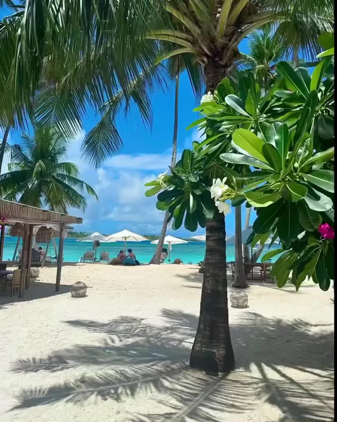 سناباد/ابکوه/کلاه دوز/صادقی/قاضی|فروش آپارتمان|مشهد, گوهرشاد|دیوار