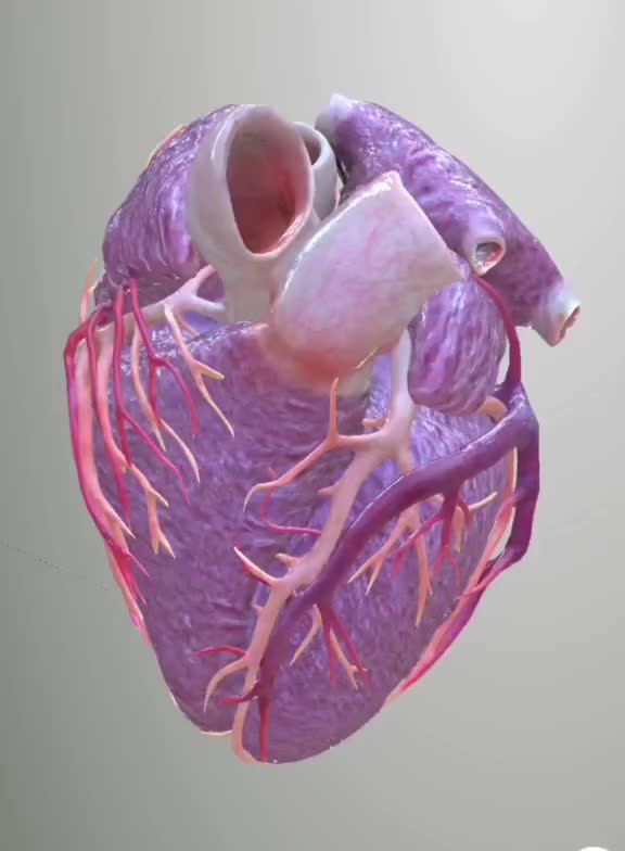 مشاوره کنکور تجربی با بهترین قیمت|خدمات آموزشی|نیشابور, دارایی|دیوار