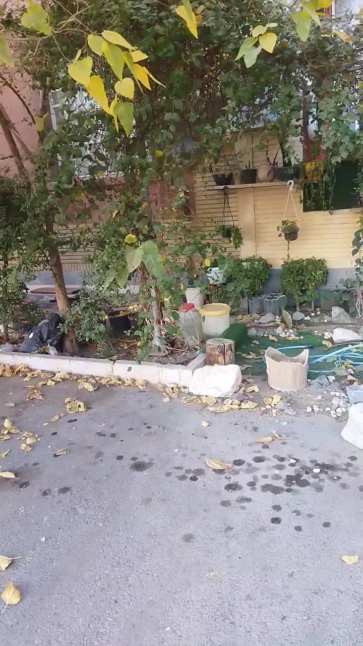 سند تک برگ/سرمایه گذاری|فروش آپارتمان|قم, پردیسان|دیوار