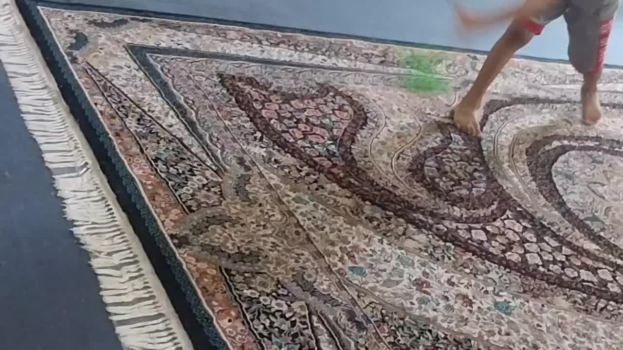 شیتزو کراس ۳ماه ماده|سگ|اهواز, کوی آغاجاری|دیوار