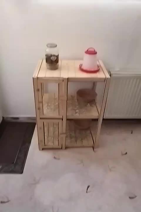 قفس چوبی|لوازم جانبی حیوانات|فولادشهر, مسکن مهر فولادشهر|دیوار