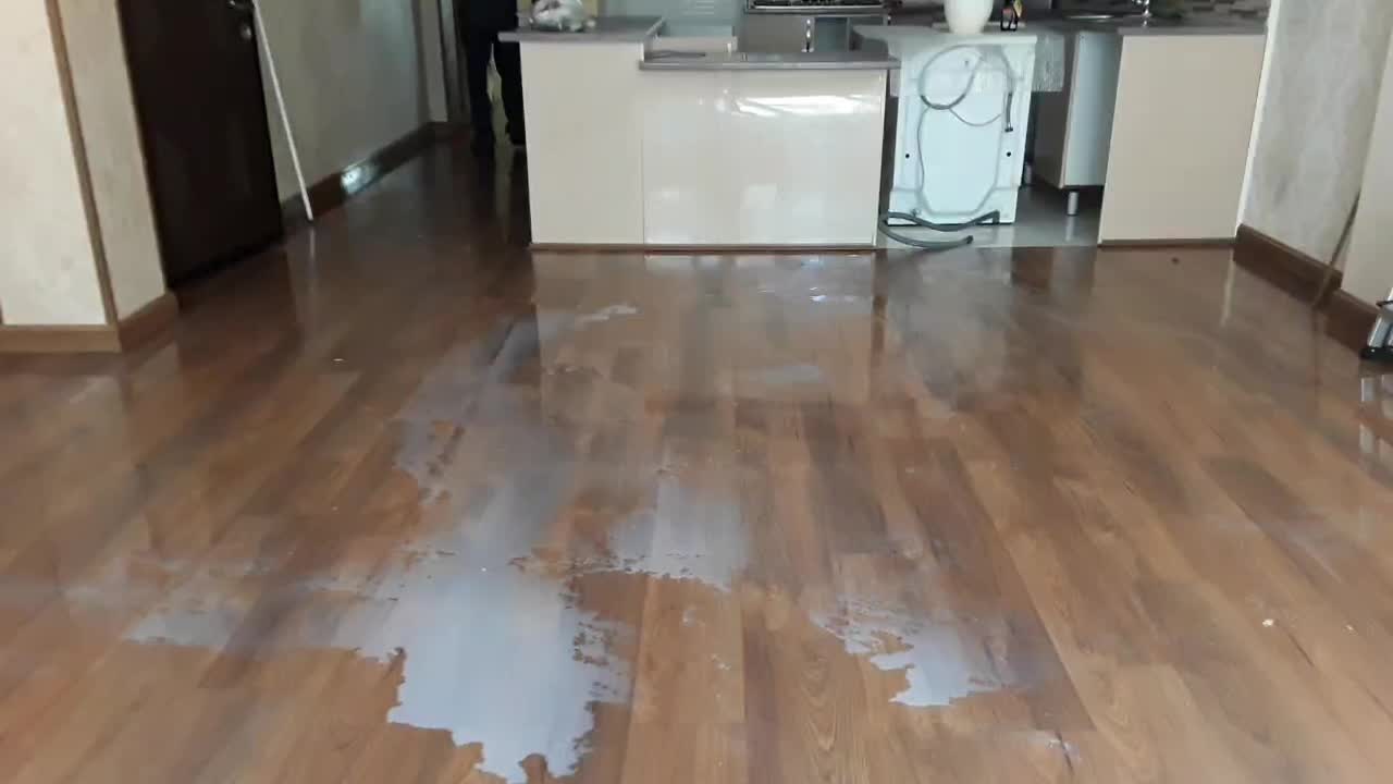 سمپاشی ساس سوسک کنه مایت|خدمات نظافت|رودهن, |دیوار