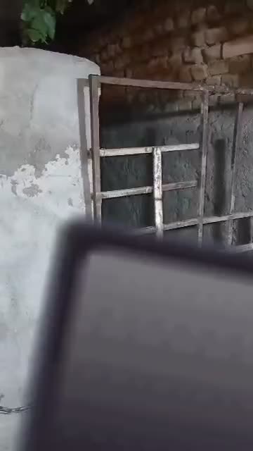 واگزاری سگ نگهبان|سگ|شیراز, گویم|دیوار