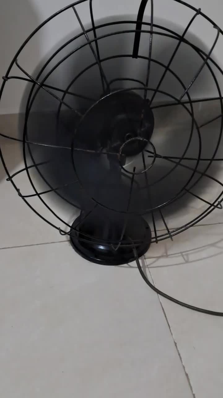 کاملا سالم هم تزئینی و هم کاربردی|کلکسیون اشیاء عتیقه|رشت, نیکمرام|دیوار