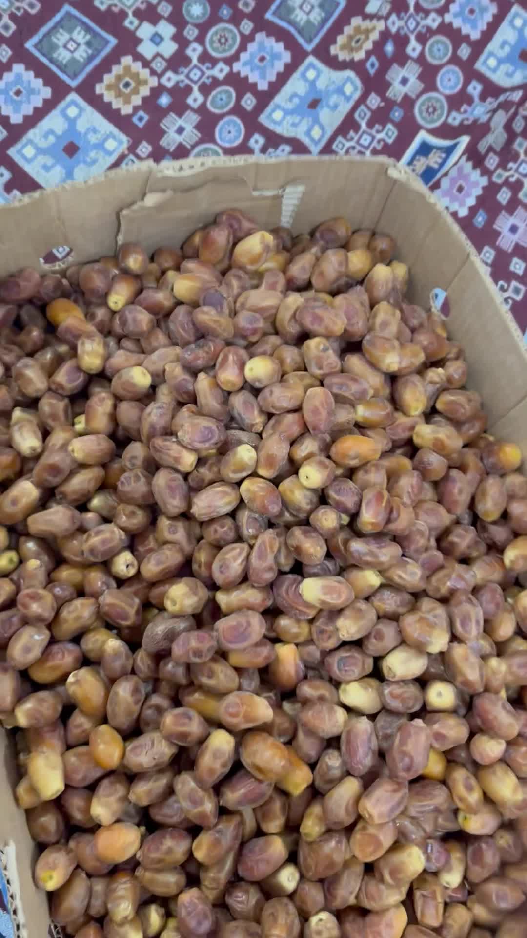 زاهدی|عمده‌فروشی|آبپخش, |دیوار