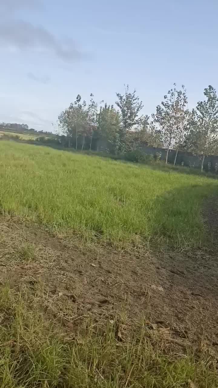 متراژ ۴۰۰ متر قیمت هر متر ۳۰۰۰مسکونی|فروش زمین و ملک کلنگی|تولم شهر, |دیوار