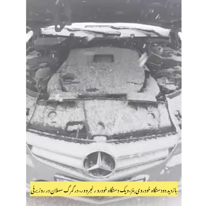 کارشناس فنی،تشخیص رنگ وبدنه خودرو (کارشناسی سیار)|خدمات موتور و ماشین|تبریز, |دیوار