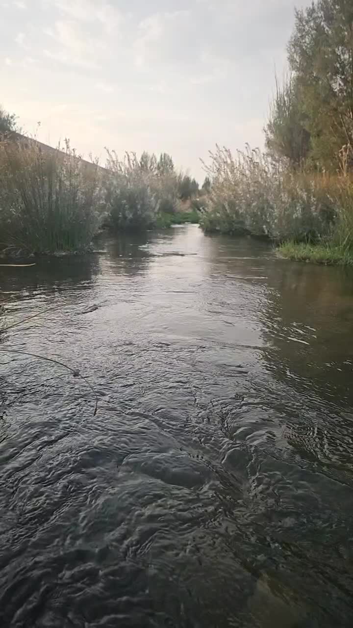 فروش خانه ویلایی  در روستای  زیبای مهرگرد  (سمیرم)|فروش خانه و ویلا|وردشت, |دیوار