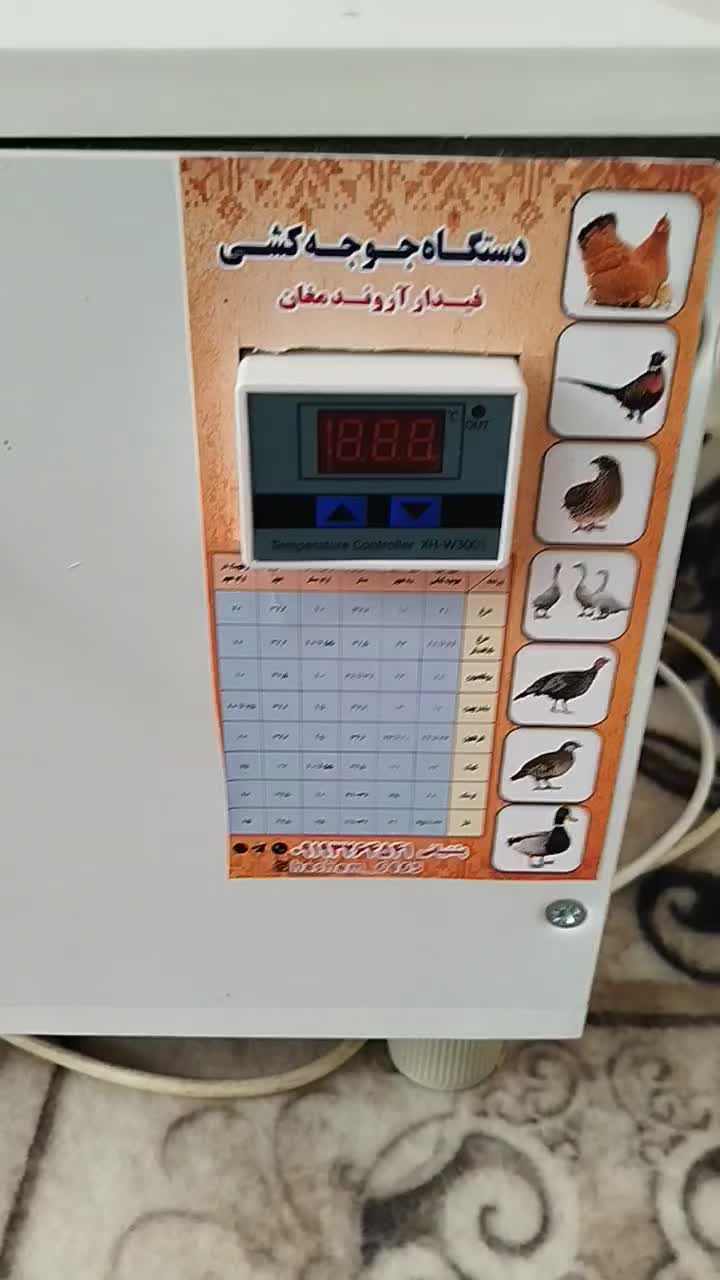 80 تایی|لوازم جانبی حیوانات|اردبیل, |دیوار