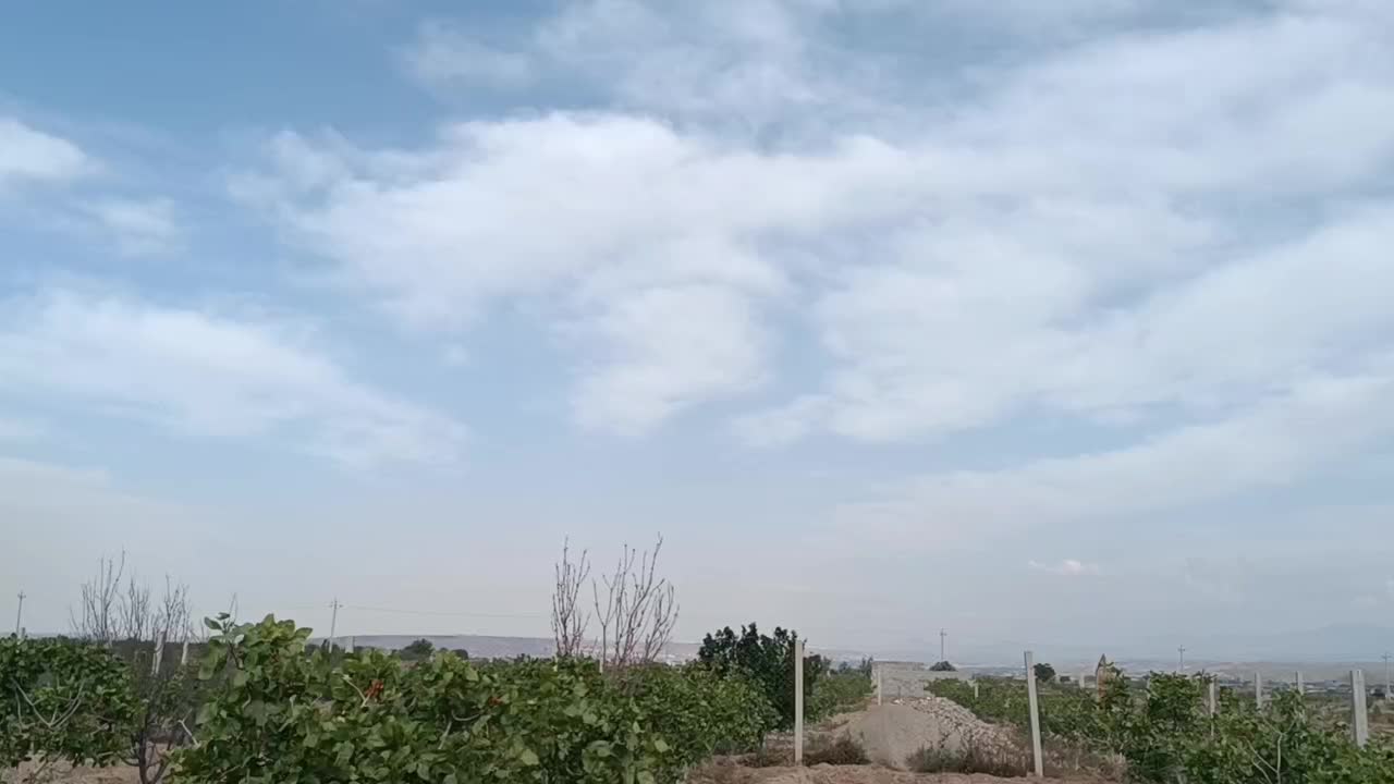 فروش زمین ۷۰۰ متری|فروش زمین و ملک کلنگی|ایلخچی, |دیوار