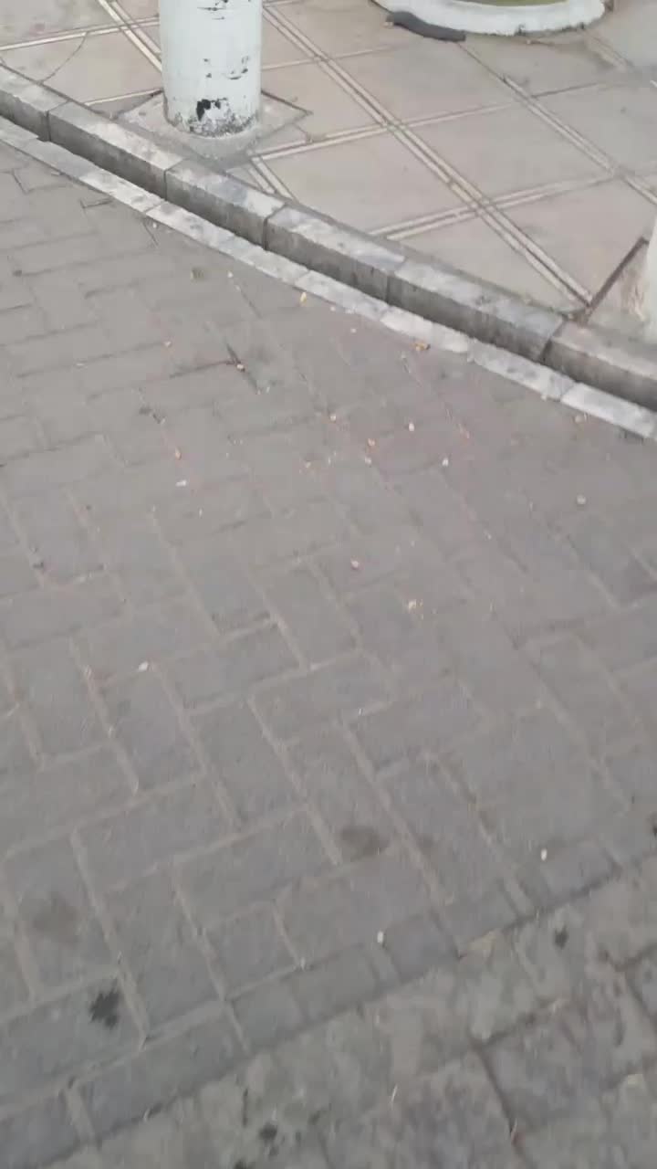 تخلیه چاه و لوله بازکنی صداقت|خدمات پیشه و مهارت|مشهد, کوی سیدی|دیوار