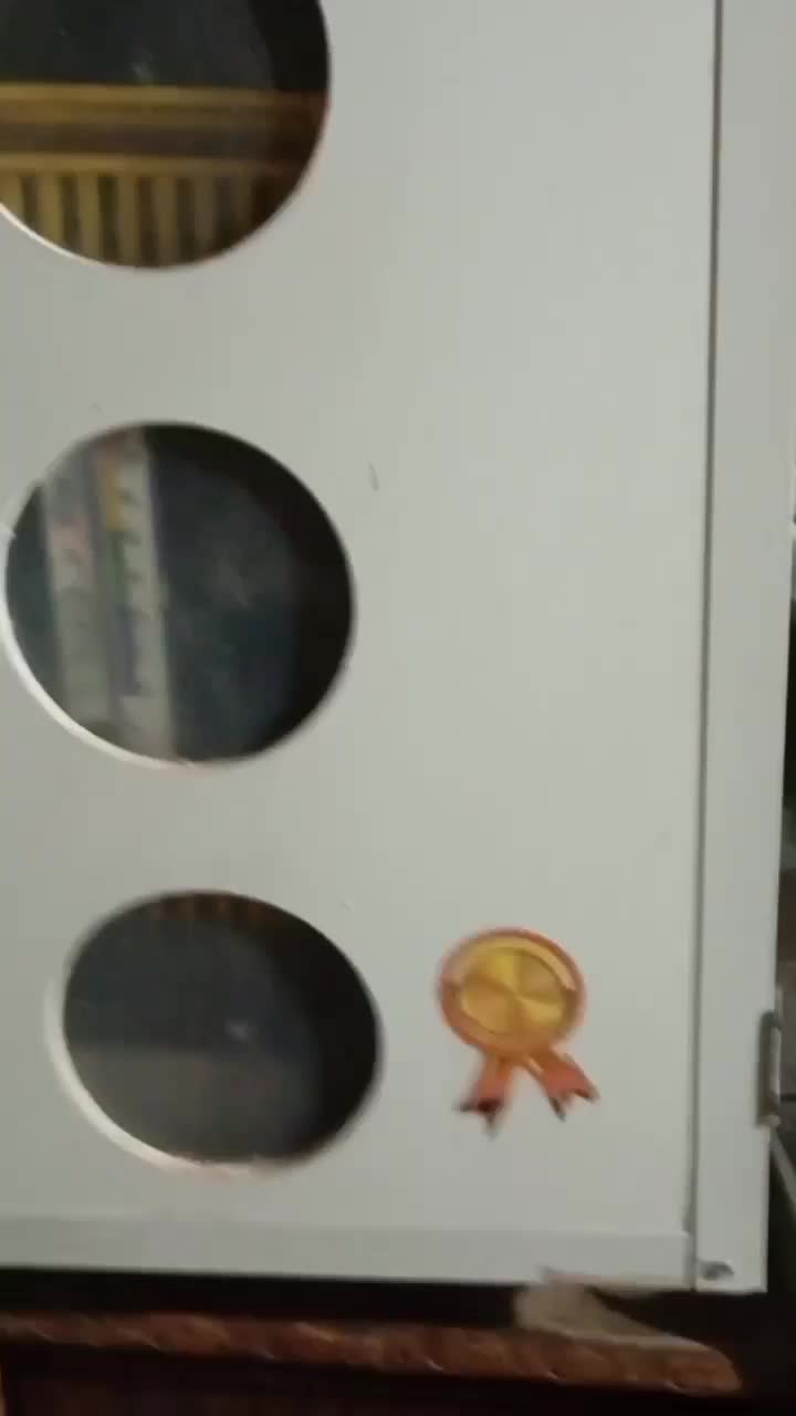 دستگاه جوجه کشی مرغ بلدرچین بوقلمون|لوازم جانبی حیوانات|بندرعباس, |دیوار