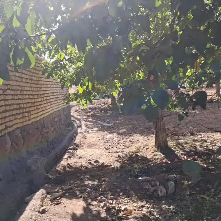 باغ گردو نقلی خوش قواره موقعیت خوب سراشیان کرمجگان|فروش زمین و ملک کلنگی|قم, مسکن مهر|دیوار