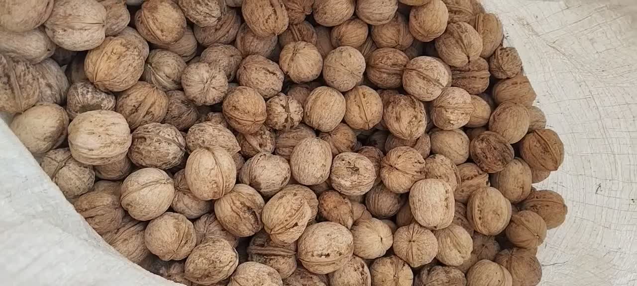 گردو. درجه یک|خوردنی و آشامیدنی|نهاوند, |دیوار