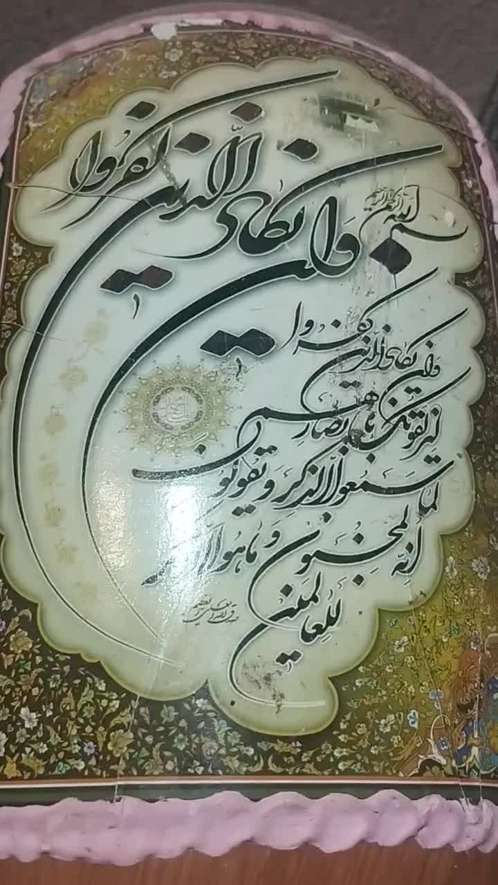 انواع پرنده درجه 1|پرنده|سیرجان, |دیوار