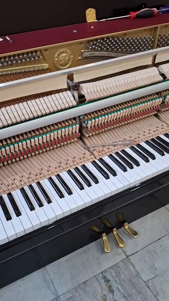 کوک پیانو|پیانو، کیبورد، آکاردئون|مشهد, نیروی هوایی|دیوار